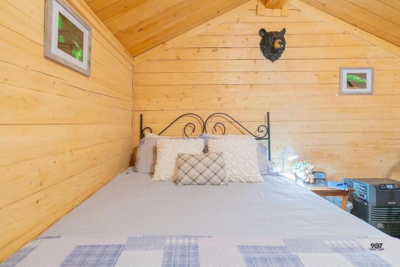 Studio Log Dry Cabin| Aurora Views! แฟร์แบงค์ส ภายนอก รูปภาพ