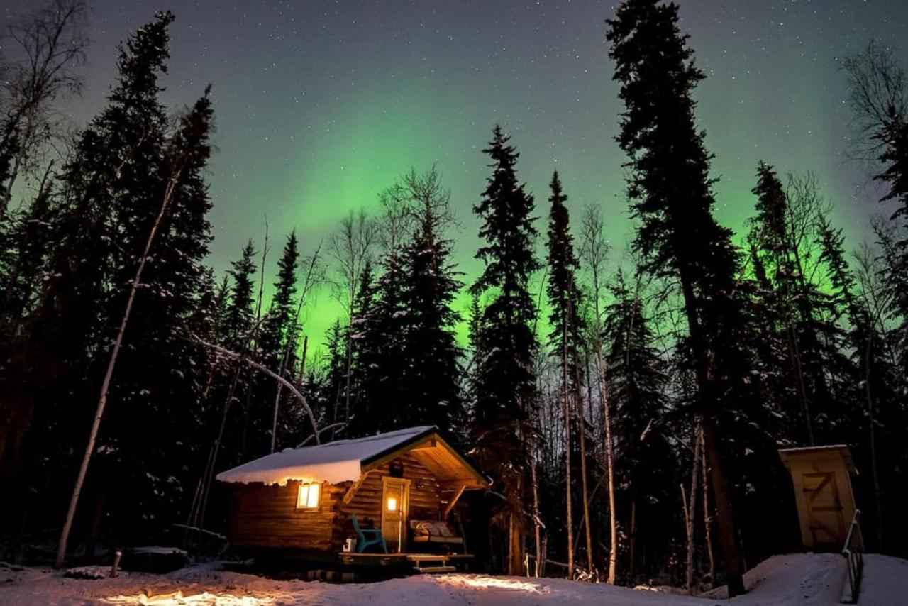 Studio Log Dry Cabin| Aurora Views! แฟร์แบงค์ส ภายนอก รูปภาพ