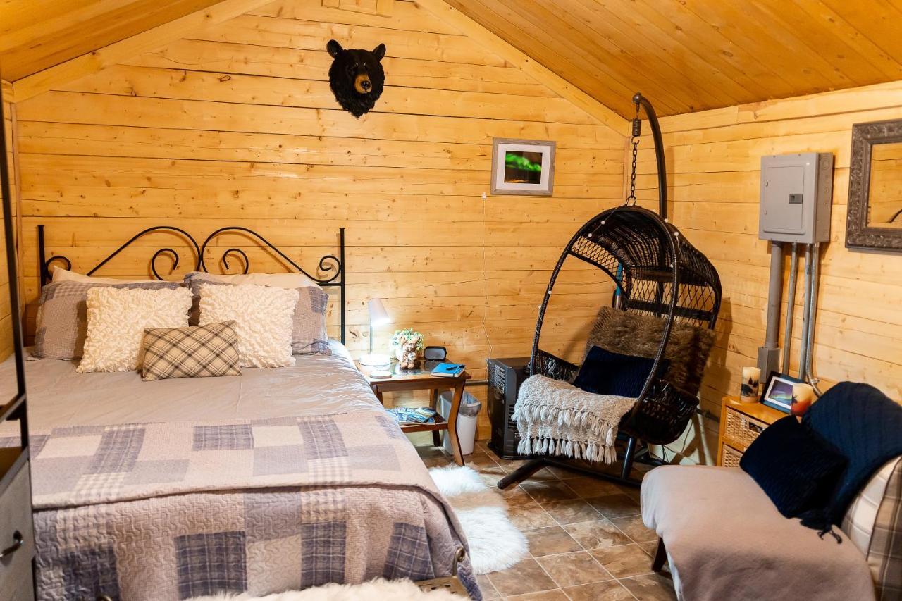 Studio Log Dry Cabin| Aurora Views! แฟร์แบงค์ส ภายนอก รูปภาพ