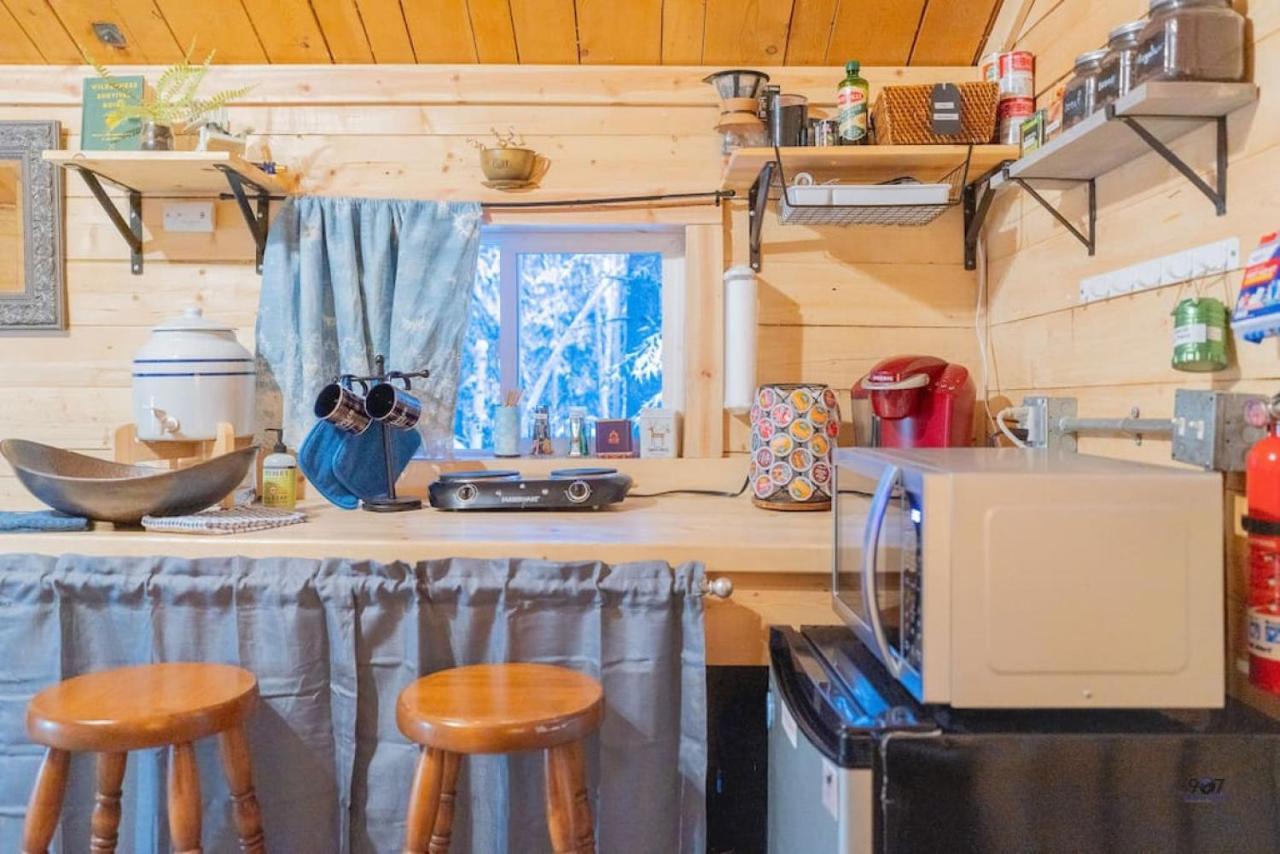 Studio Log Dry Cabin| Aurora Views! แฟร์แบงค์ส ภายนอก รูปภาพ
